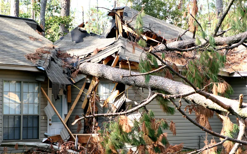 tree storm damage fell on house in Binghamton NY